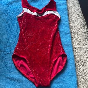 Velvet Leotard